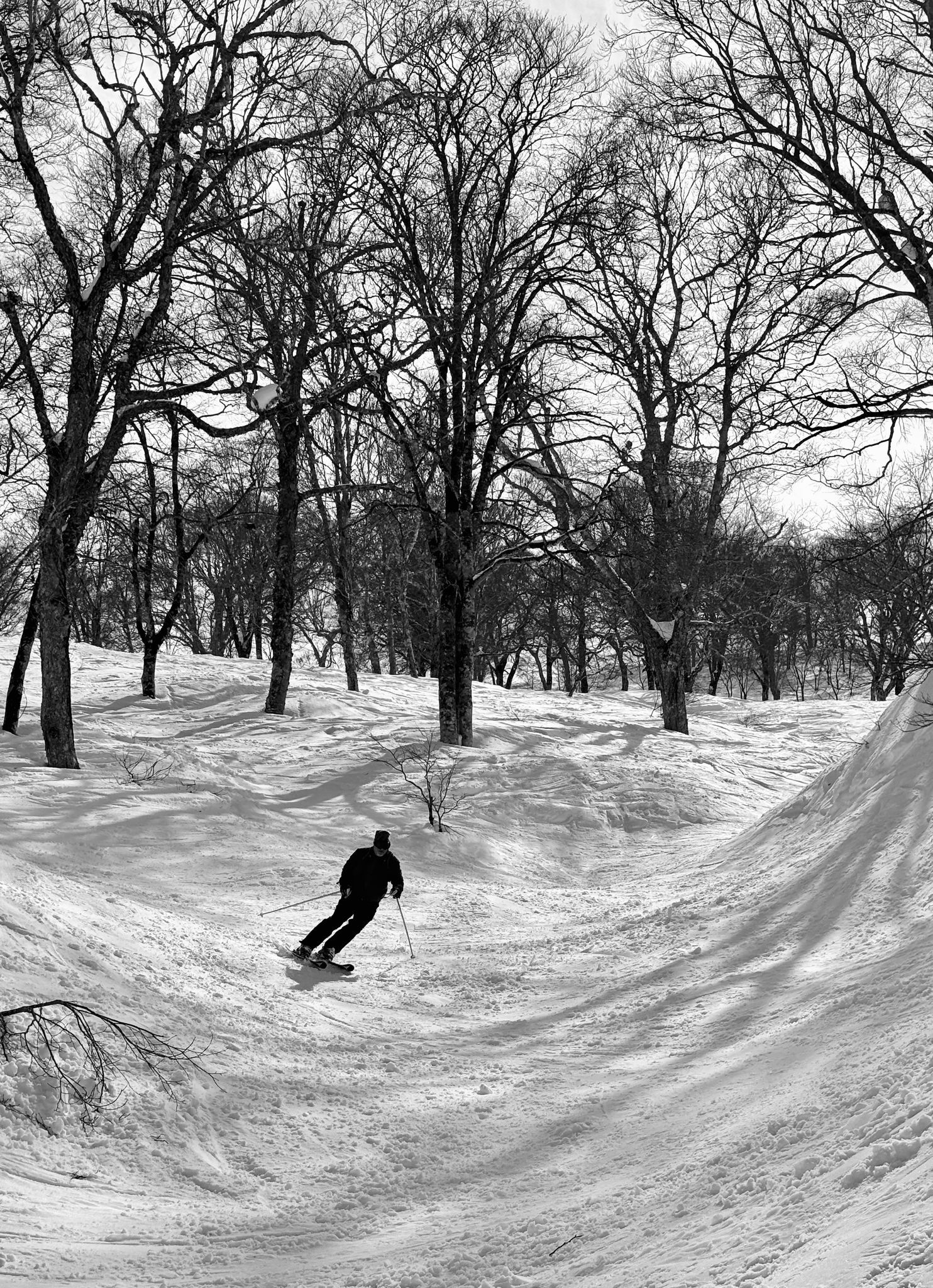 skiier down yamibiko halfpipe