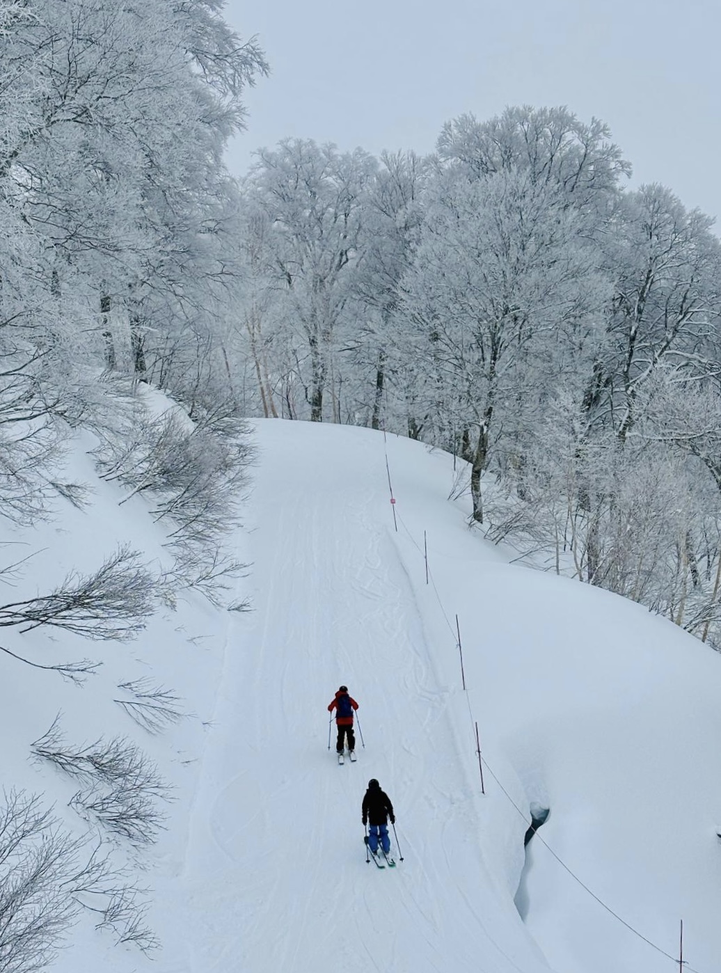 Skiers coming down on one of Mt Kenashi's slopes on a powder day 