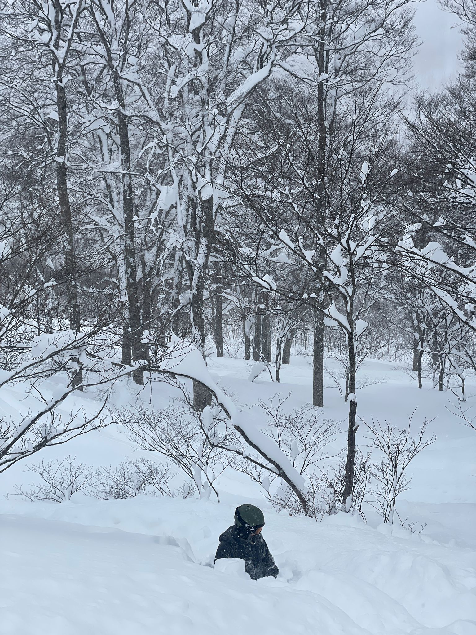 snowboarder in deep powder