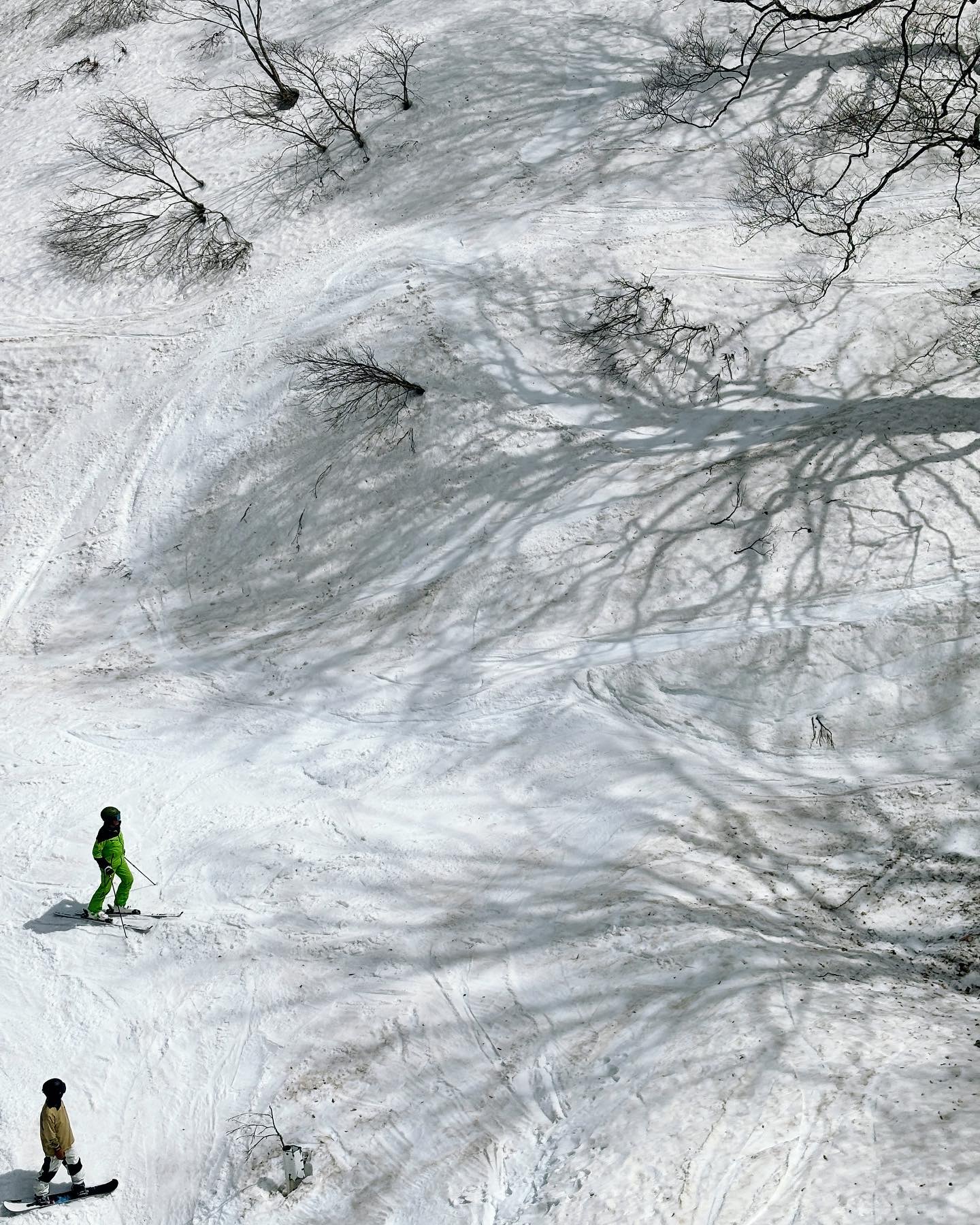 Nozawa's resort keeping busy with more than 1m of base at the top of the mountain