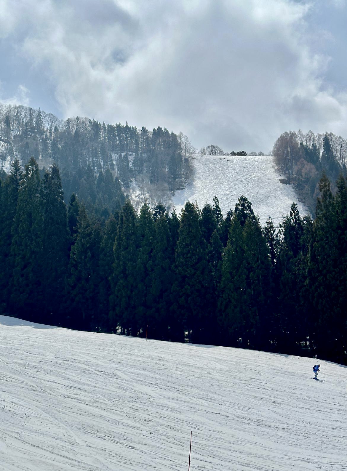 Gran prix black run in Nozawa 