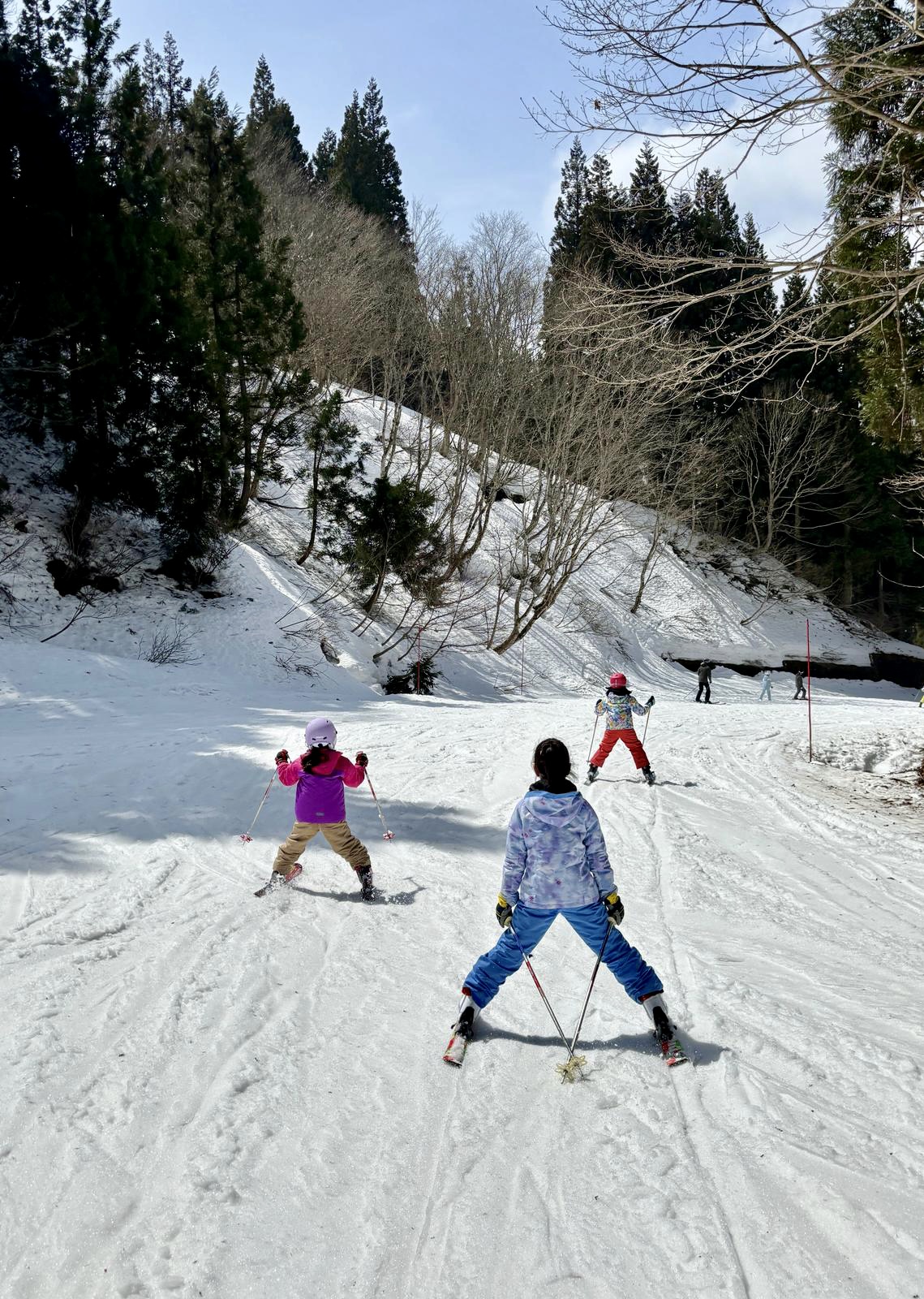 kids skiing down forest course 