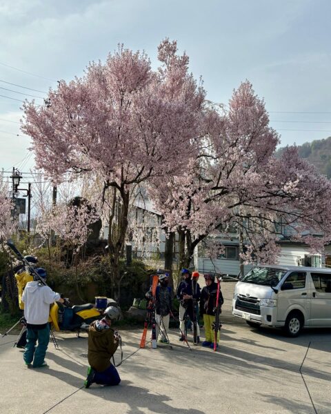 People enjoying their Spring season in Nozawa Onsen
