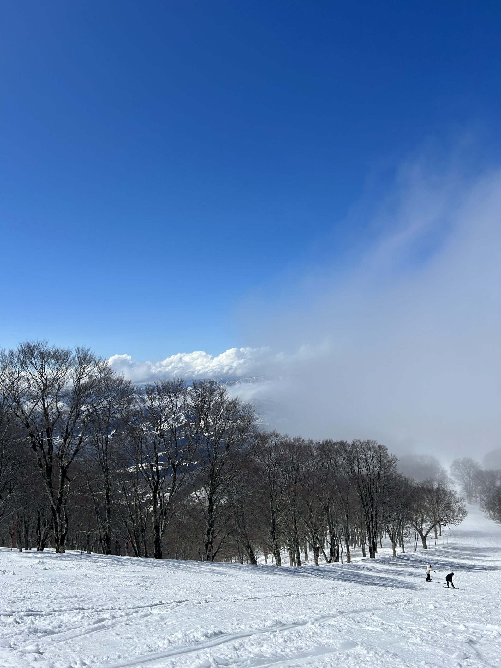 sunshine and fog 