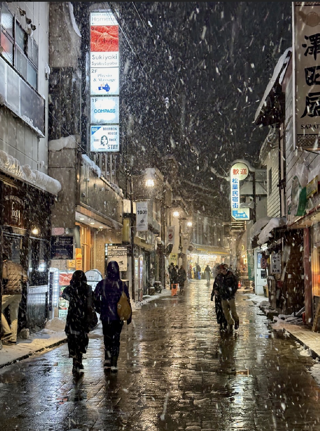 nozawa village snowfall