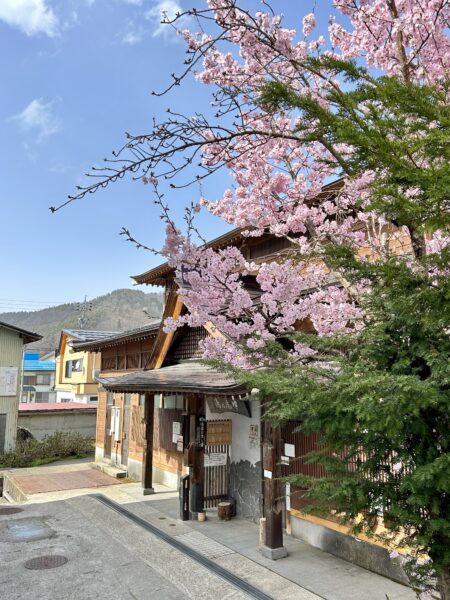 The Village of Nozawa blossoms