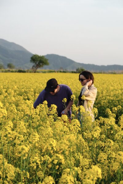 Stunning fields covered in local flowers of Nagano Prefecture