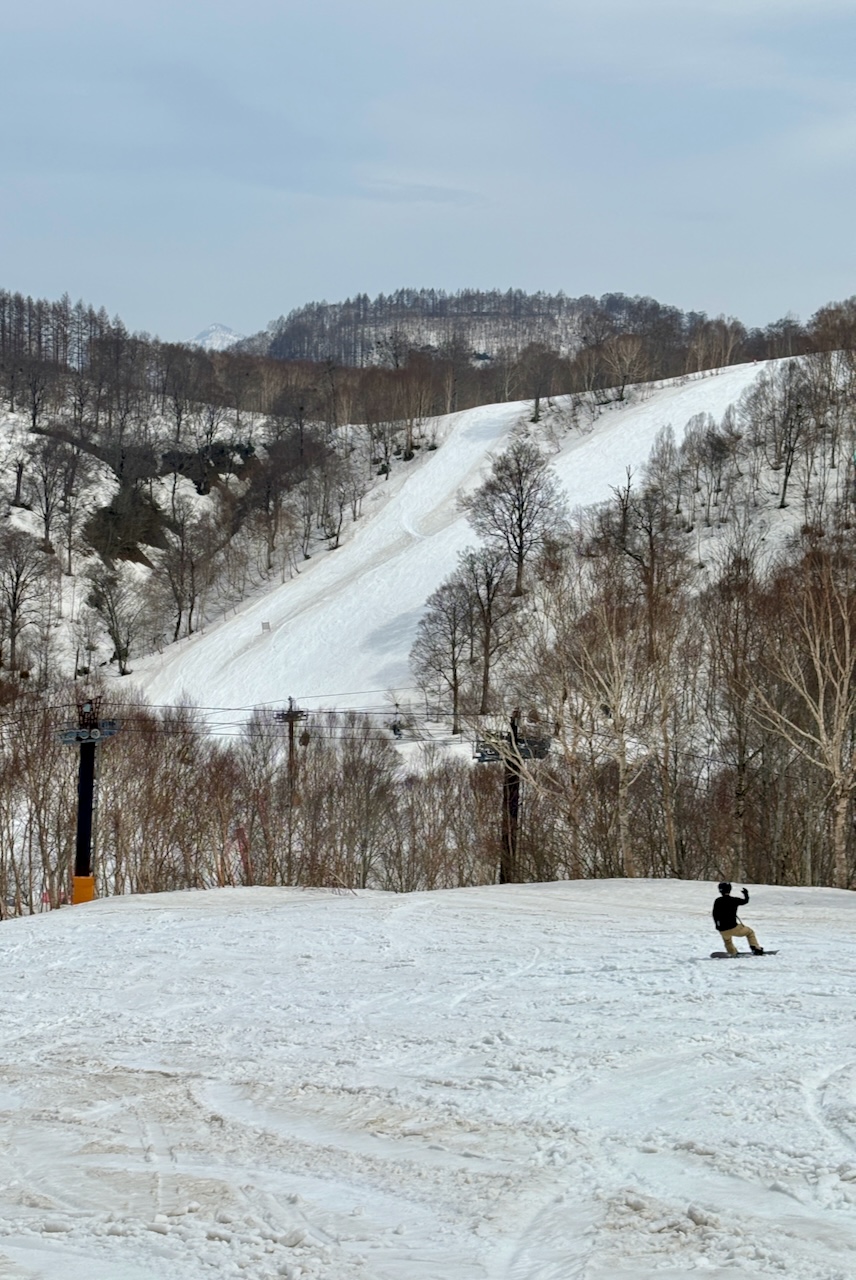 Surf Ski Day Japan 