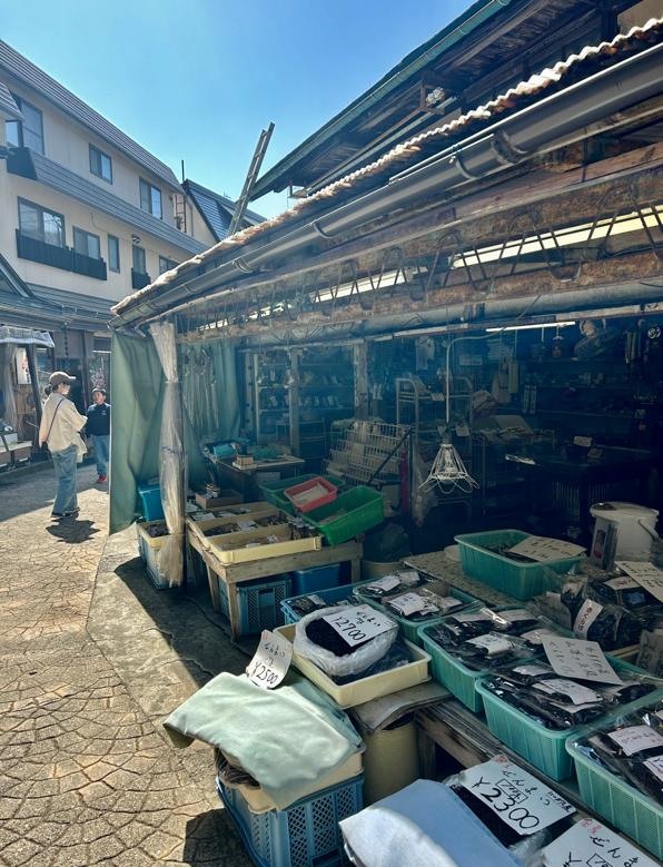 nozawa onsen village market stalls 