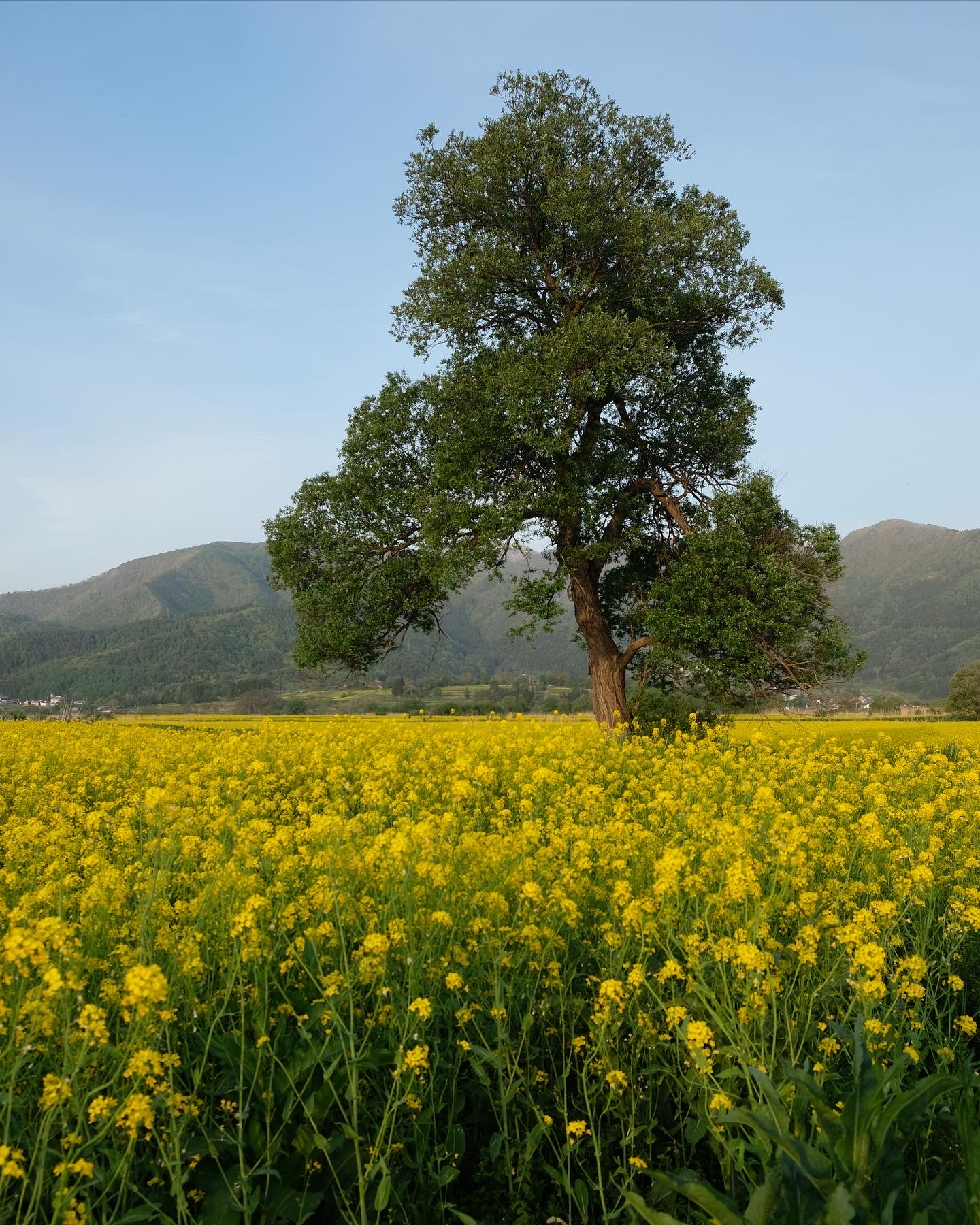 Nagano Prefecture 9is filled with hidden gems and places worth visiting within a short drive from Nozawa Onsen