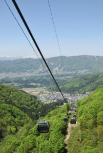 Nozawa has turned fully green