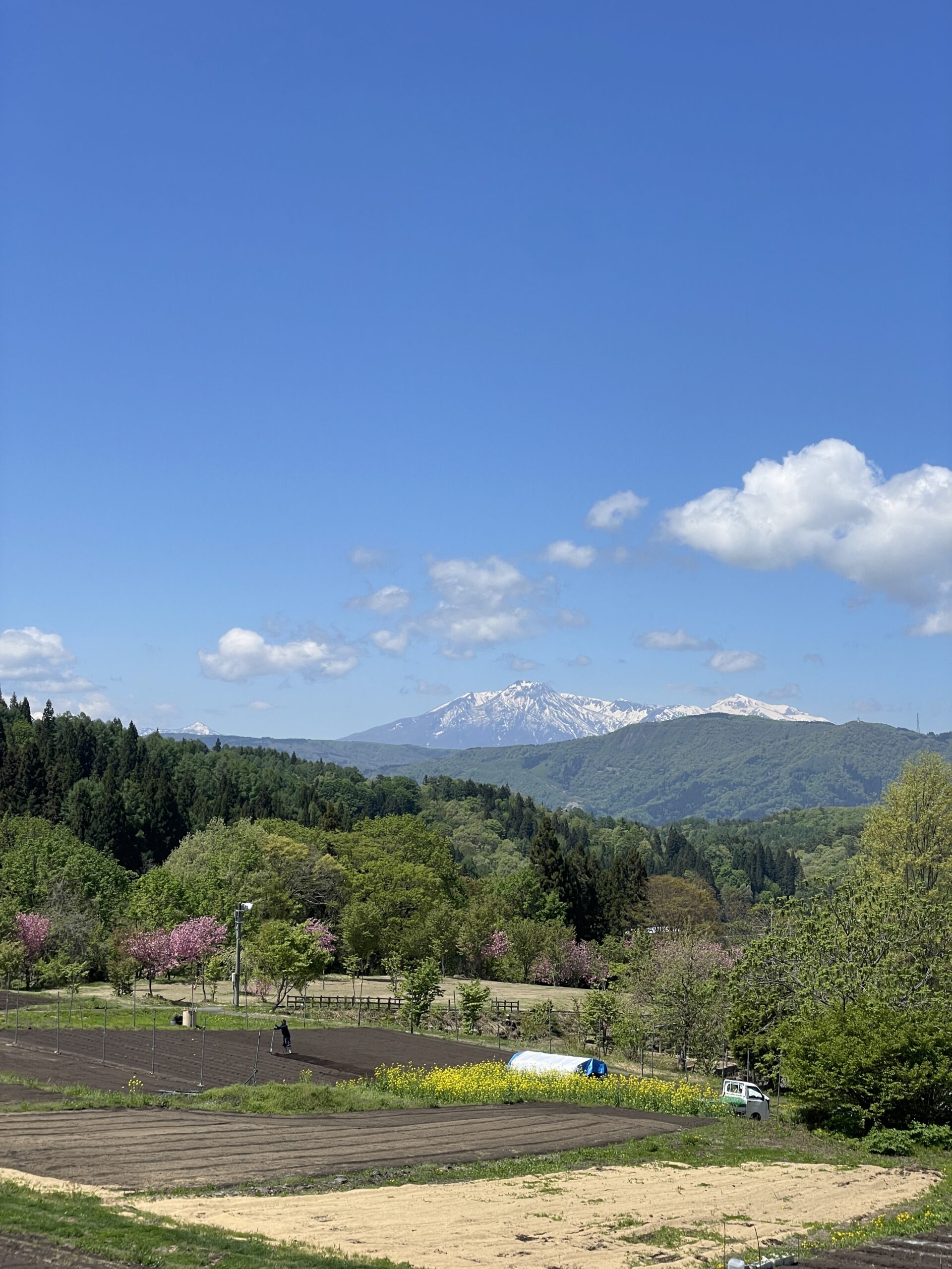 Colourful start of May in Nozawa 