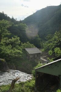 Jigokudani Yaen Koen