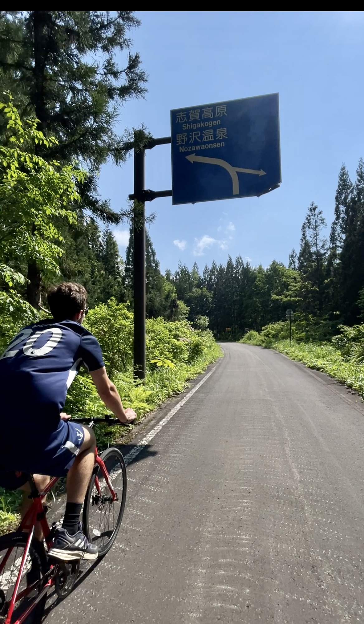 One of the forest routes coming into Nozawa Onsen from the east 