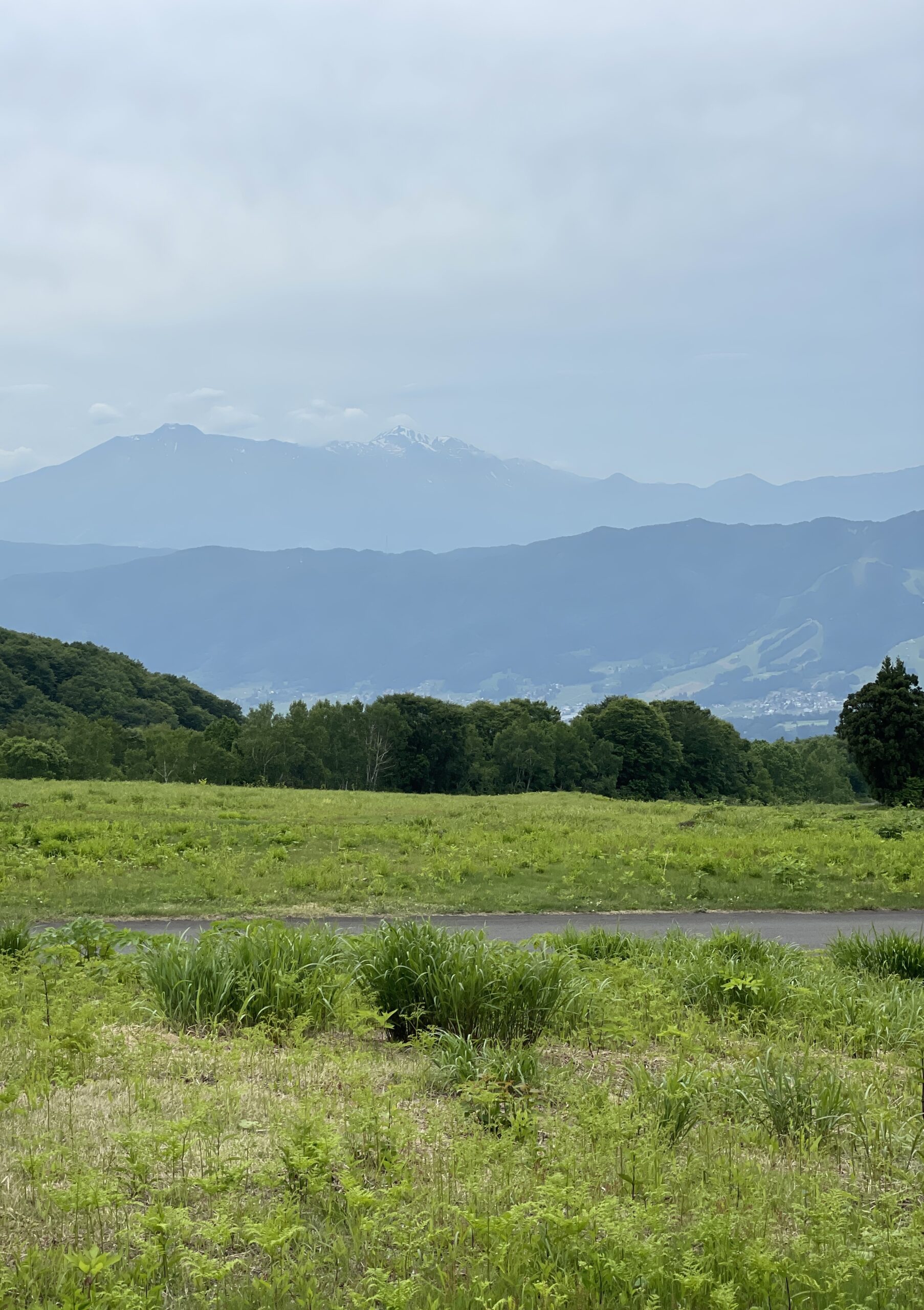 Scenic views from Paradise slope in the green season