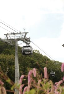 Enjoy beautiful views and lush greenery up above the Village of Nozawa with a quick ride up the mountain with Nagasaka Gondola
