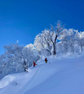 Fresh powder and bluebird days