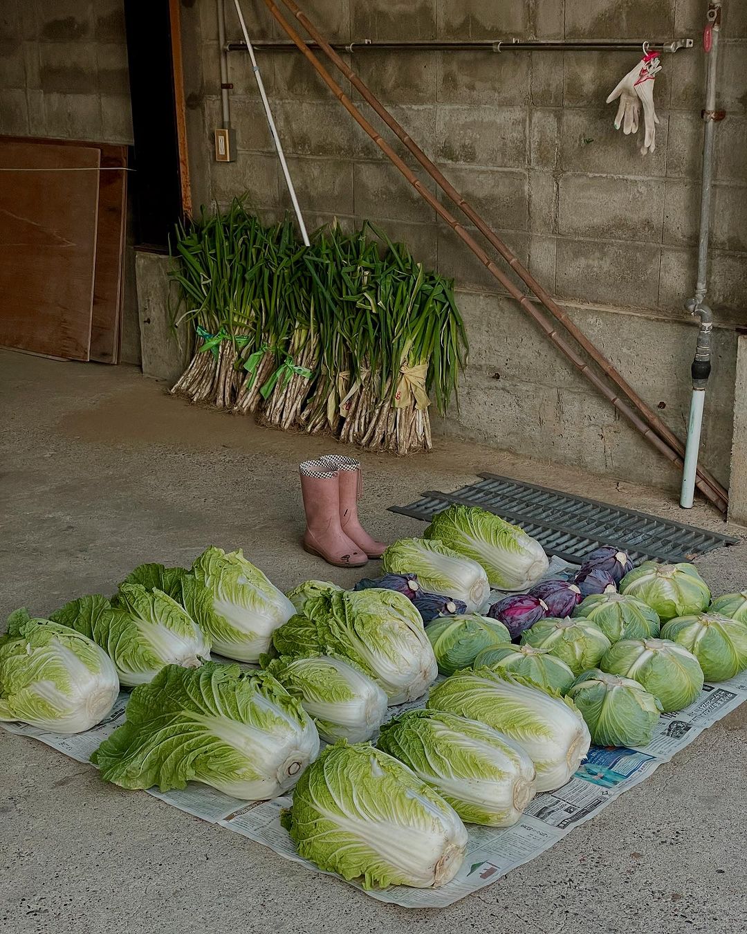 Locals are stocking up with veggies before the snowfall