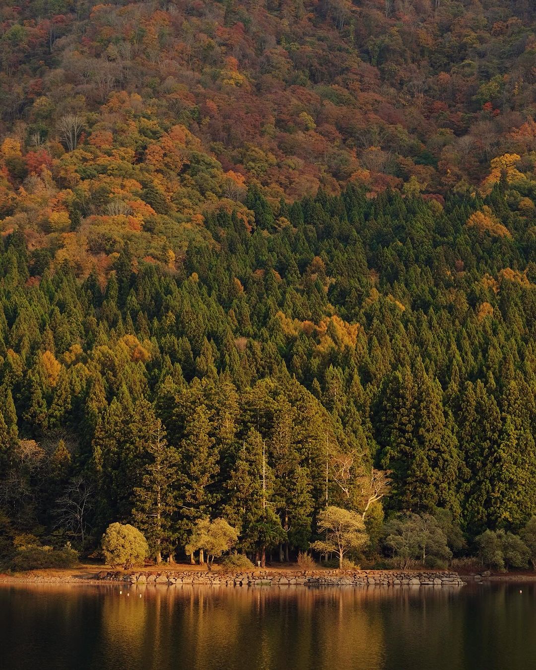Autumn at the local lake near Nozawa Onsen