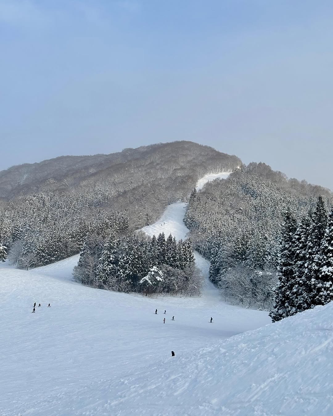 The mountains in Nozawa are getting especially busy in January 