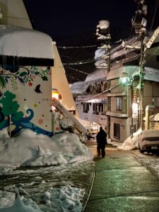 Nozawa shines reflecting street lights off the fresh snow