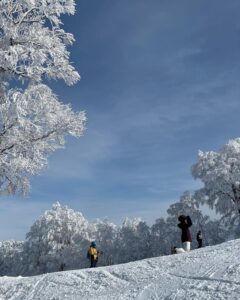Nozawas scenic heights