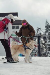 Skiing with your pupil has never been easier