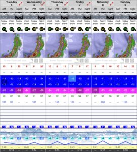 Pretty consistent snowfall throughout the whole of the first week of Feb