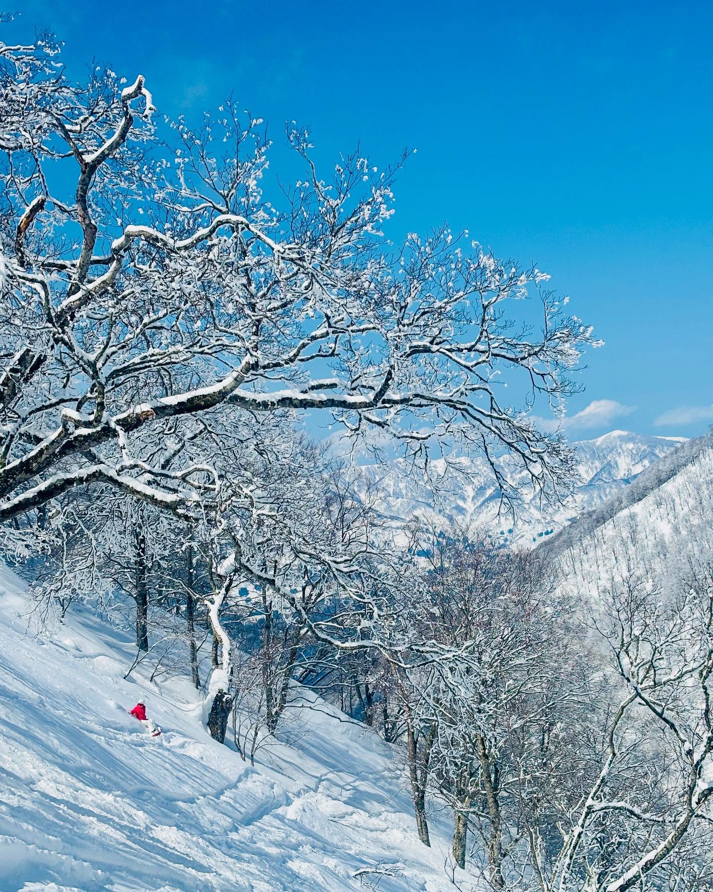 Still Snow Ski Japan