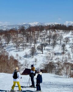 Business For Sale Nozawa