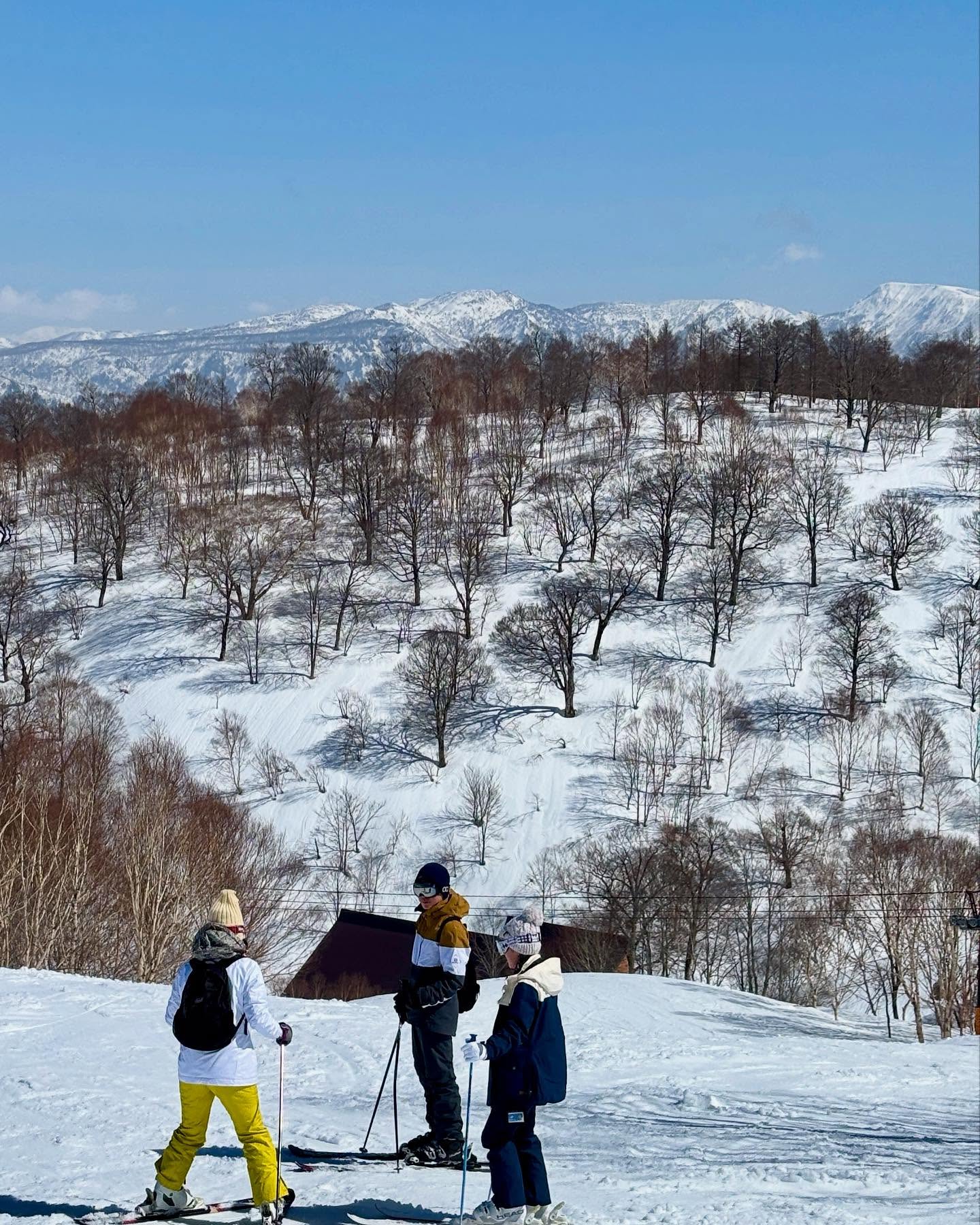 Business For Sale Nozawa 