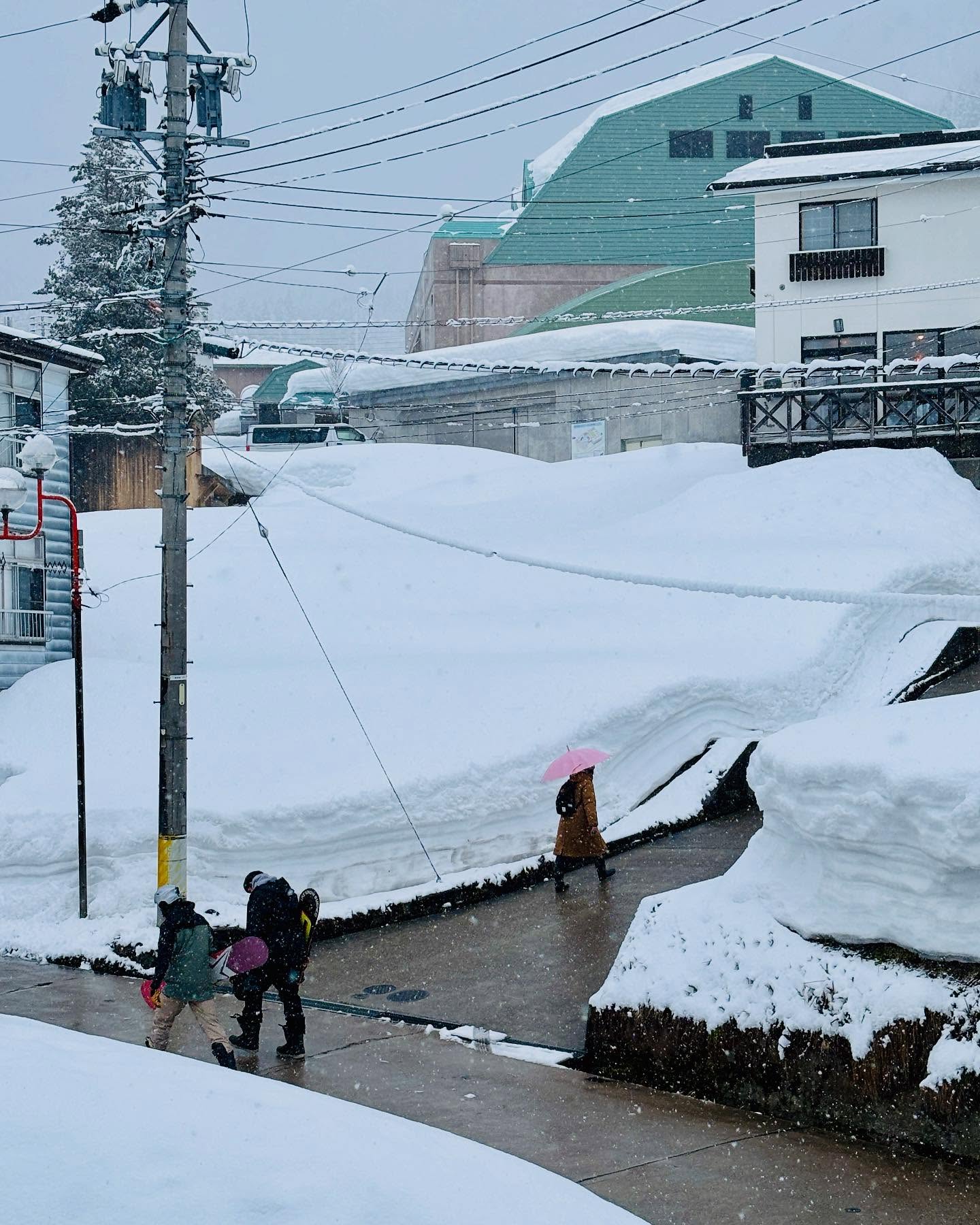 Still Snow Ski Japan