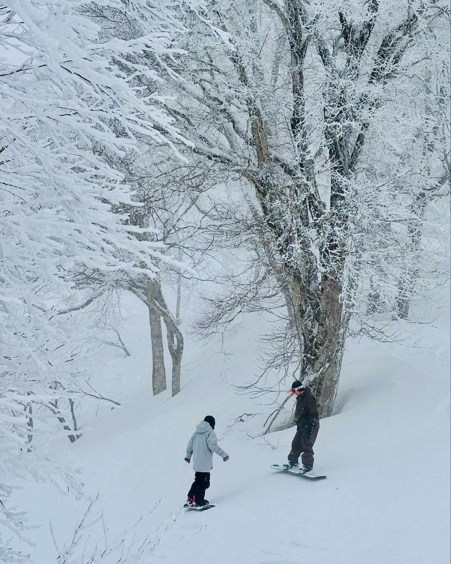 Spring Lifts Open Japan 