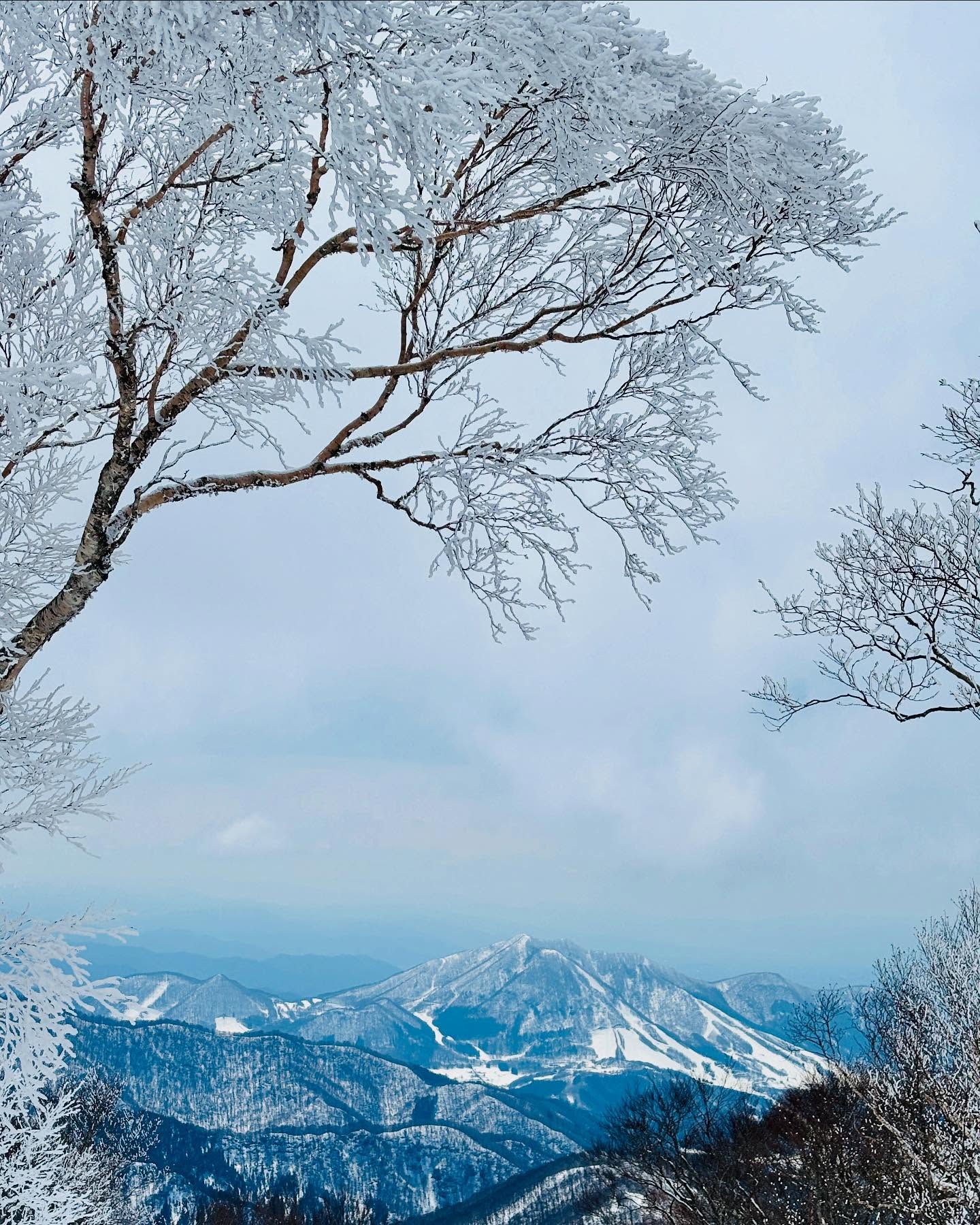 Spring Lifts Open Japan 