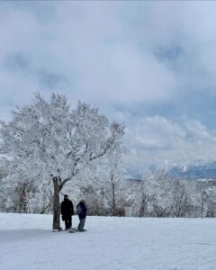 Still Snow April Japan