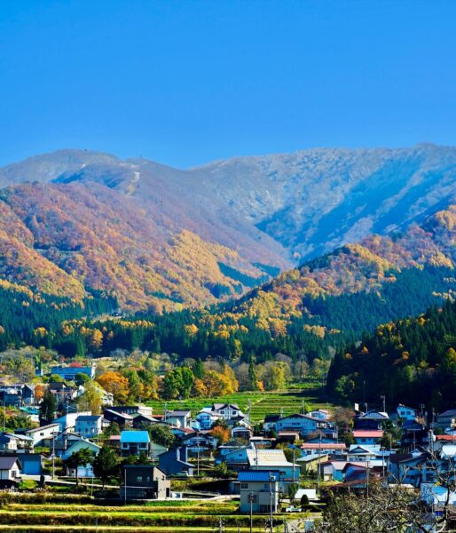 Autumn Winter Transition Nozawa