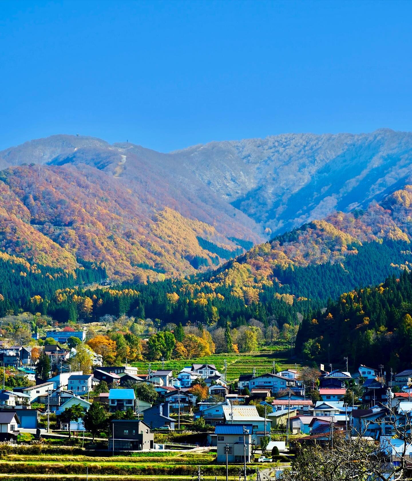 Autumn Winter Transition Nozawa