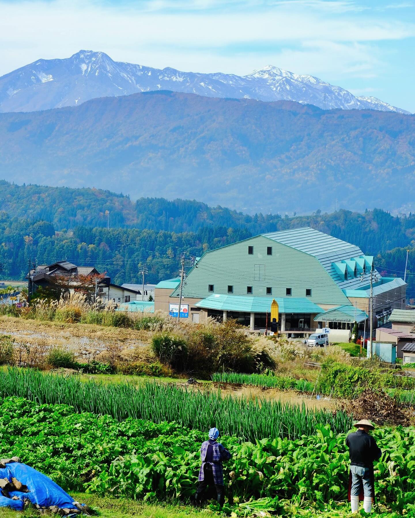 Early Snow Nozawa Japan 