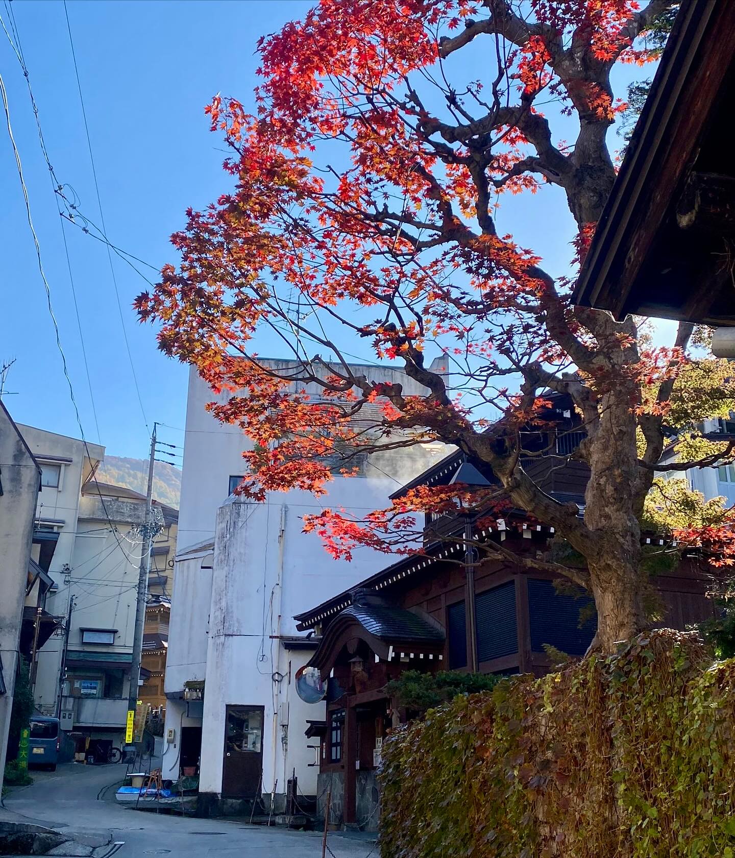 Autumn Winter Transition Nozawa