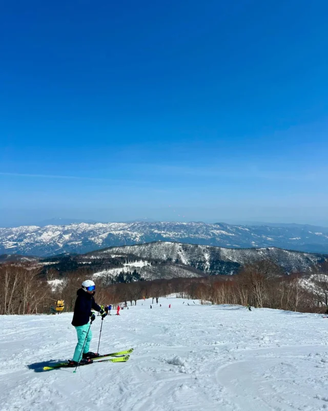 雪 対策 スノーシュー 靴 除雪 便利 グッズ 日本製 かんじき 山